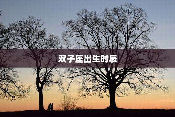 双子座出生时辰