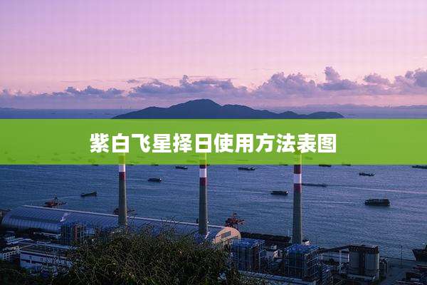 紫白飞星择日使用方法表图