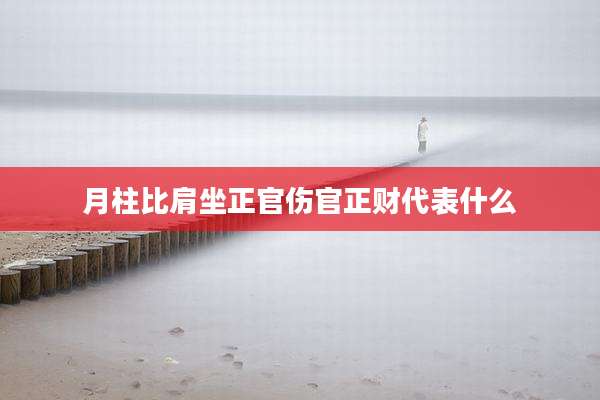 月柱比肩坐正官伤官正财代表什么