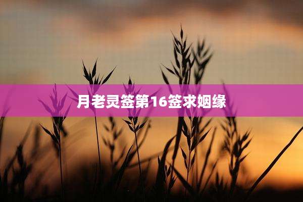 月老灵签第16签求姻缘