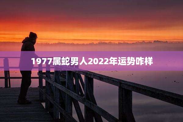 1977属蛇男人2022年运势咋样