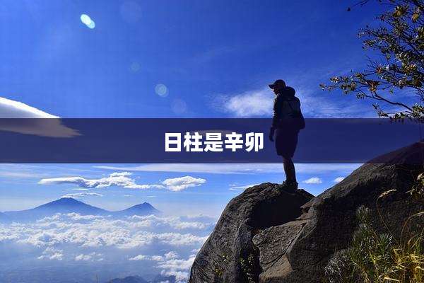 日柱是辛卯
