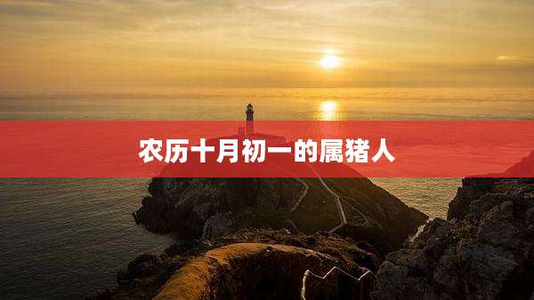 农历十月初一的属猪人