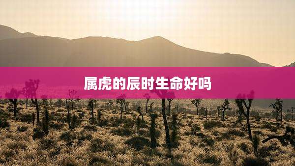 属虎的辰时生命好吗