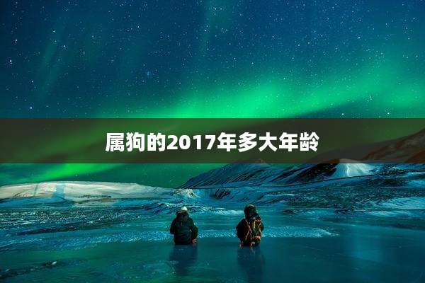 属狗的2017年多大年龄