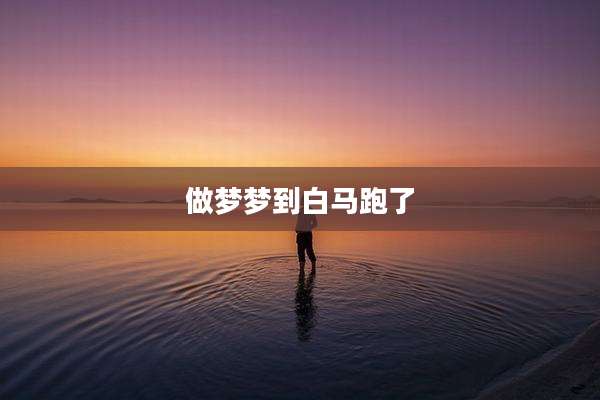 做梦梦到白马跑了