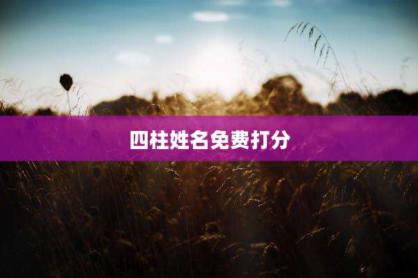 四柱姓名免费打分