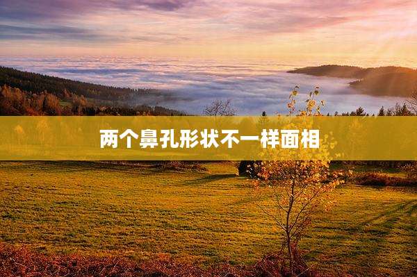 两个鼻孔形状不一样面相
