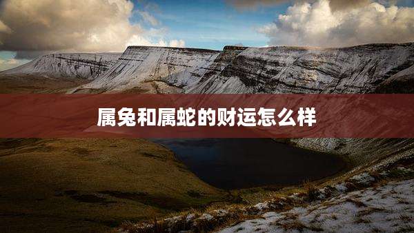 属兔和属蛇的财运怎么样