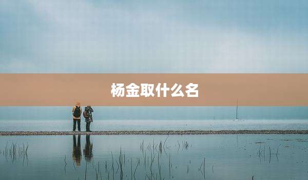 杨金取什么名