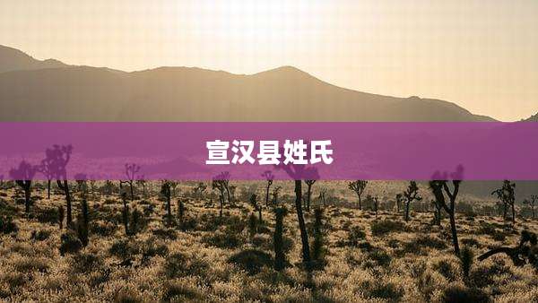 宣汉县姓氏