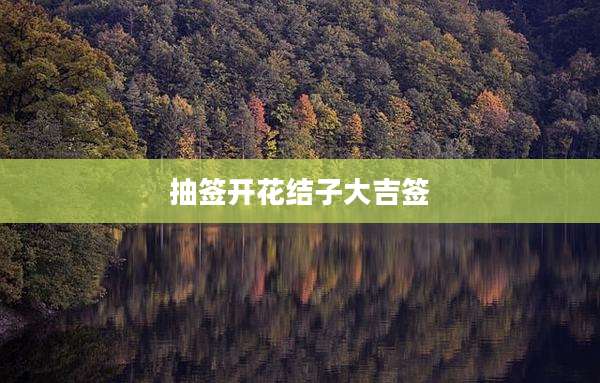 抽签开花结子大吉签