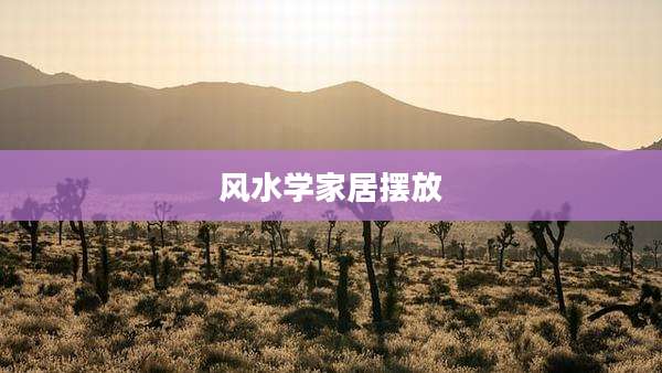 风水学家居摆放