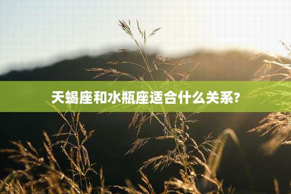 天蝎座和水瓶座适合什么关系?