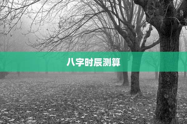 八字时辰测算
