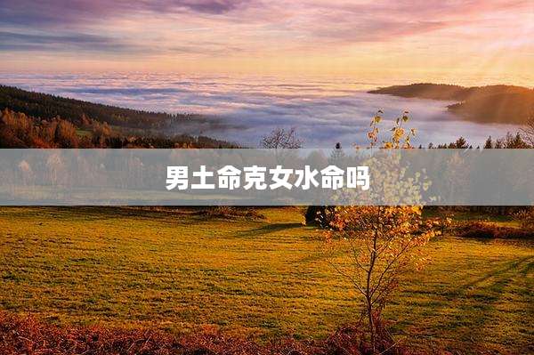 男土命克女水命吗
