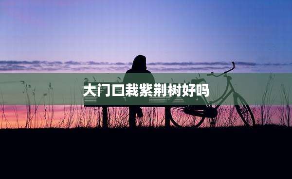 大门口栽紫荆树好吗