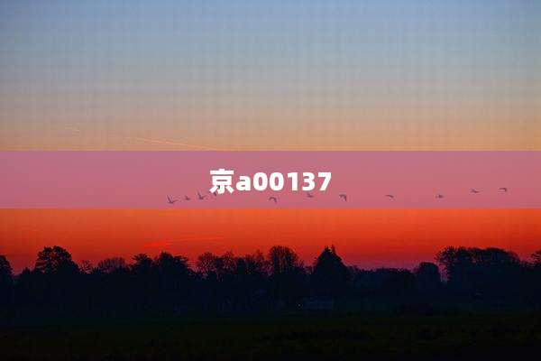 京a00137