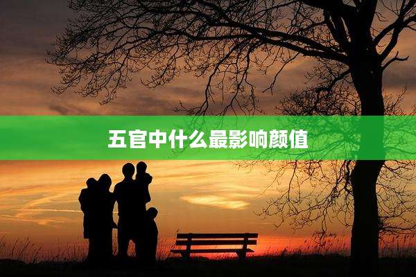 五官中什么最影响颜值