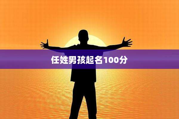 任姓男孩起名100分