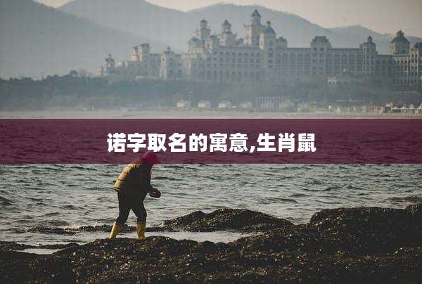 诺字取名的寓意,生肖鼠