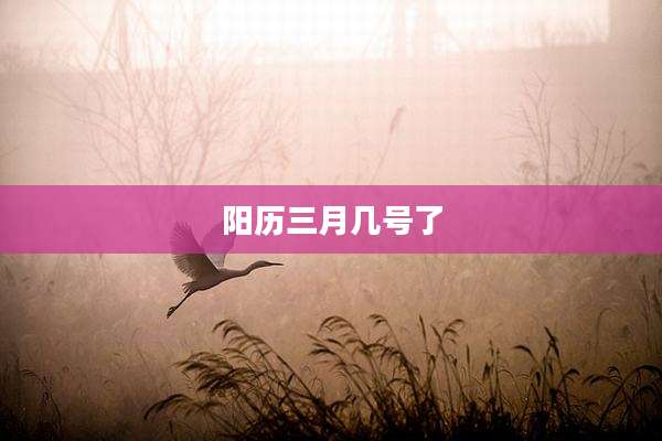 阳历三月几号了