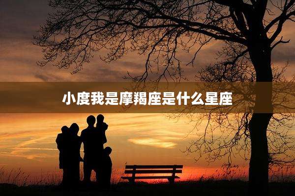 小度我是摩羯座是什么星座