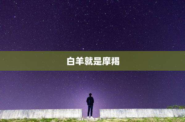 白羊就是摩羯