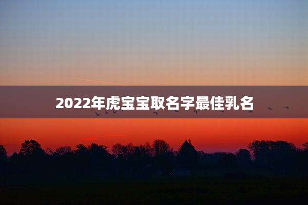 2022年虎宝宝取名字最佳乳名