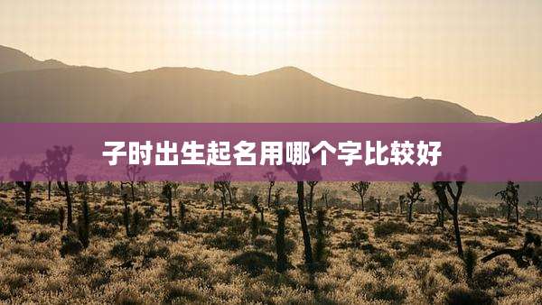子时出生起名用哪个字比较好