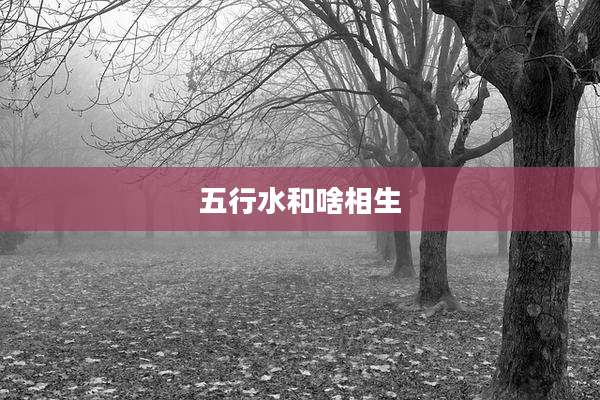五行水和啥相生