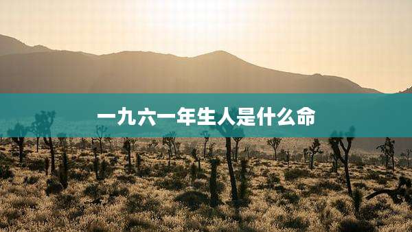 一九六一年生人是什么命