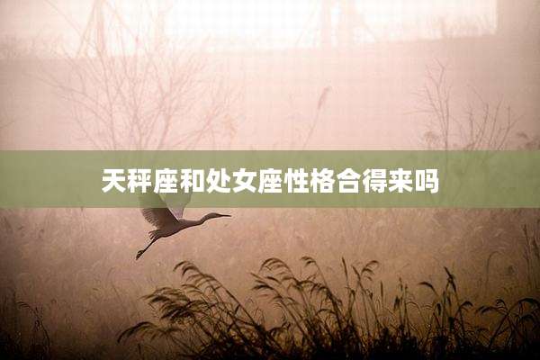 天秤座和处女座性格合得来吗