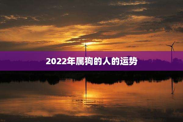 2022年属狗的人的运势