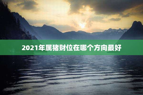 2021年属猪财位在哪个方向最好