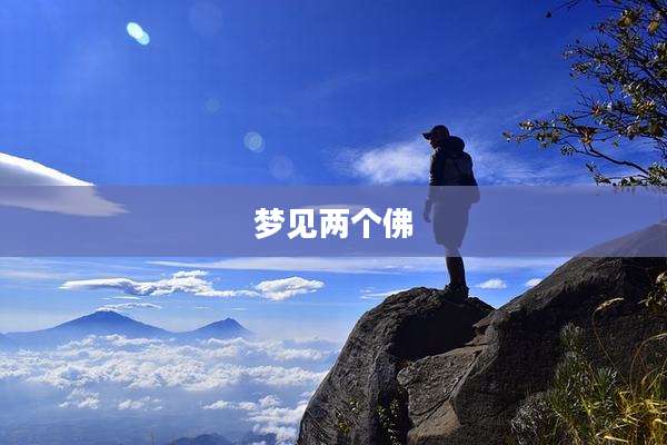 梦见两个佛