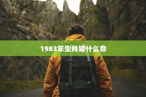 1983年生肖猪什么命