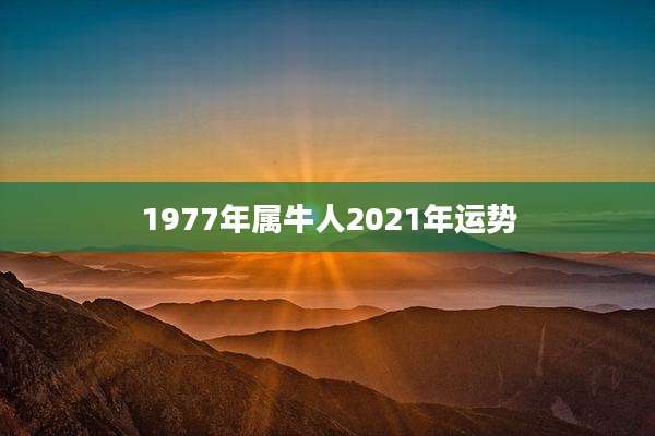 1977年属牛人2021年运势