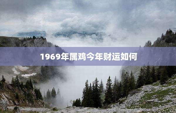 1969年属鸡今年财运如何