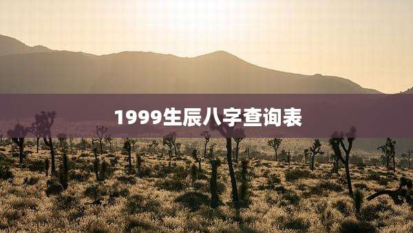 1999生辰八字查询表