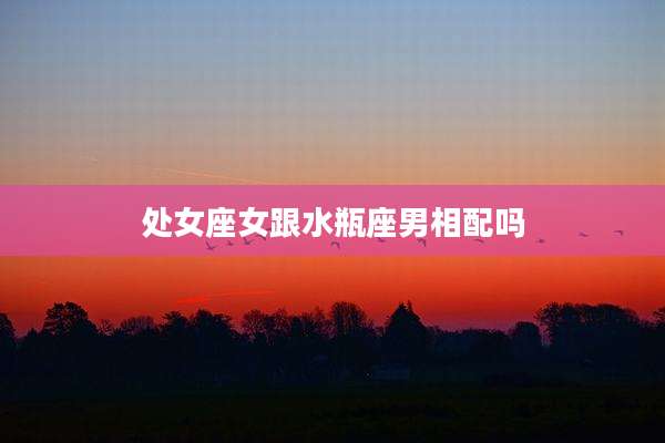 处女座女跟水瓶座男相配吗