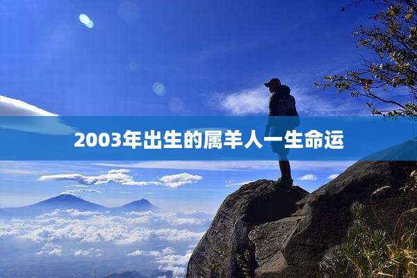 2003年出生的属羊人一生命运
