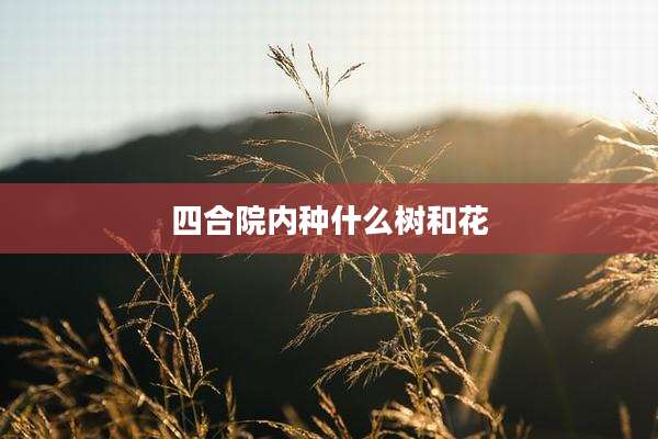四合院内种什么树和花
