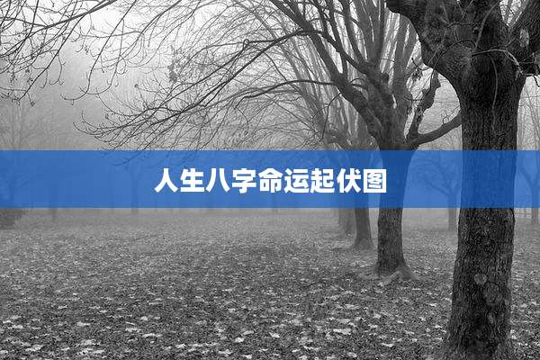 人生八字命运起伏图