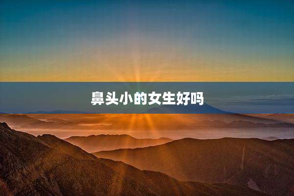 鼻头小的女生好吗