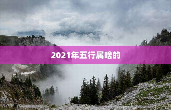 2021年五行属啥的