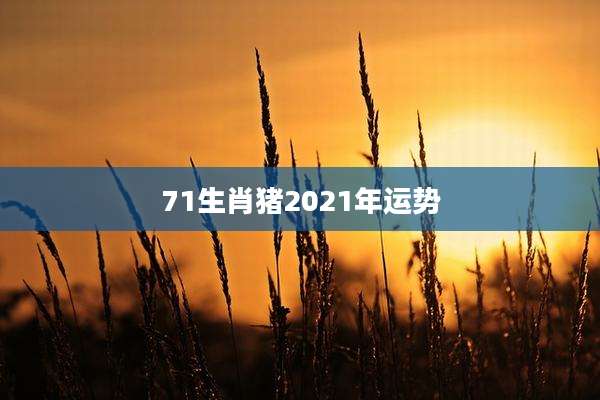 71生肖猪2021年运势