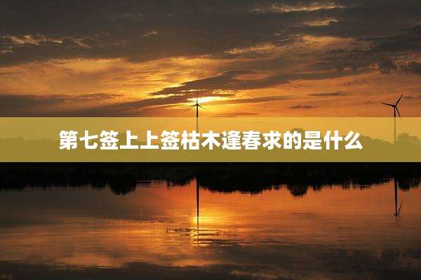第七签上上签枯木逢春求的是什么