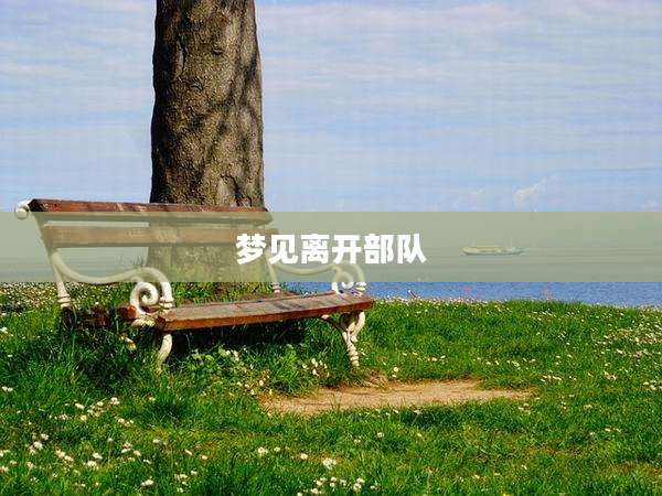 梦见离开部队