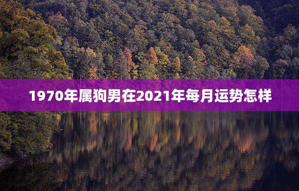 1970年属狗男在2021年每月运势怎样